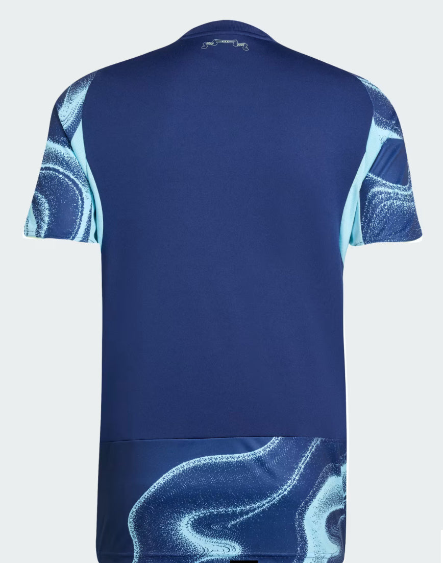 Ajax Amsterdam 25/26 Away Jersey