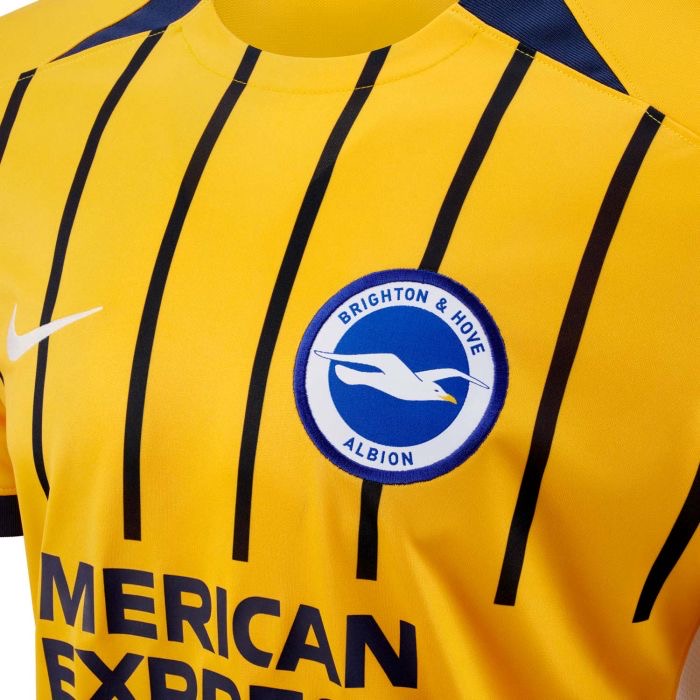Brighton & Hove Albion 25/26 Third Jersey